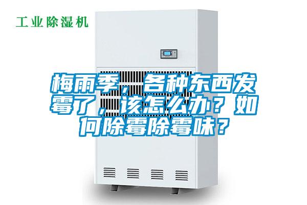梅雨季，各种东西发霉了，该怎么办？如何除霉除霉味？