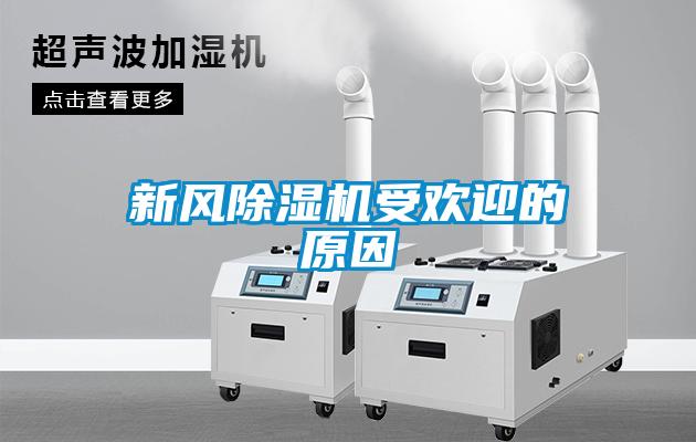 新风香蕉福利视频机受欢迎的原因