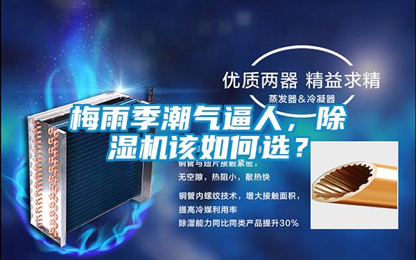 梅雨季潮气逼人，香蕉福利视频机该如何选？