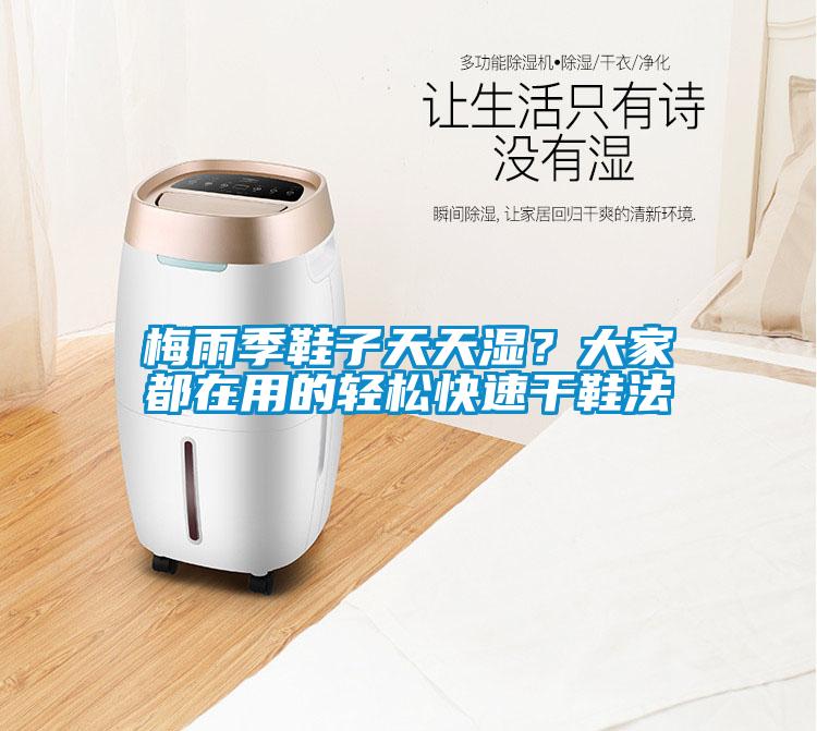 梅雨季鞋子天天湿？大家都在用的轻松快速干鞋法