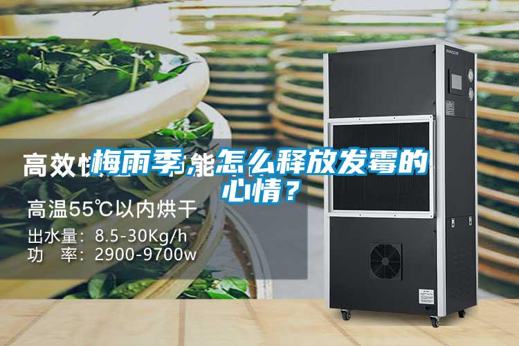 梅雨季，怎么释放发霉的心情？