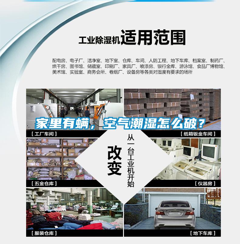 家里有螨，空气潮湿怎么破？