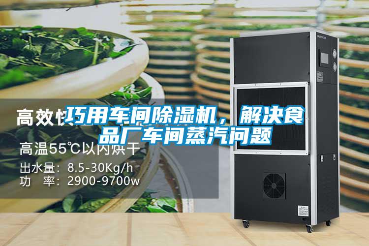 巧用车间香蕉福利视频机，解决食品厂车间蒸汽问题