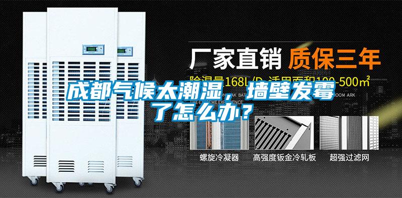 成都气候太潮湿，墙壁发霉了怎么办？