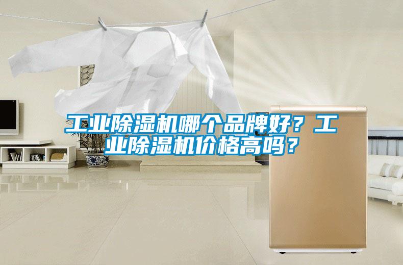 工业香蕉福利视频机哪个品牌好？工业香蕉福利视频机价格高吗？