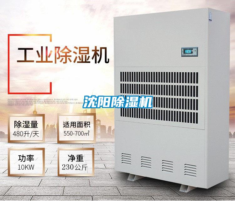 沈阳香蕉福利视频机