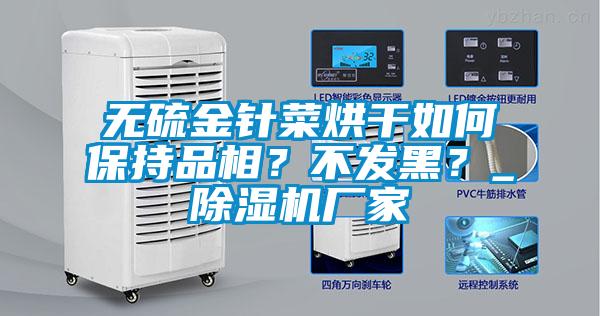 无硫金针菜烘干如何保持品相？不发黑？_香蕉福利视频机厂家