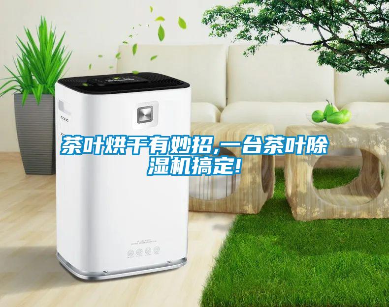 茶叶烘干有妙招,一台茶叶香蕉福利视频机搞定!