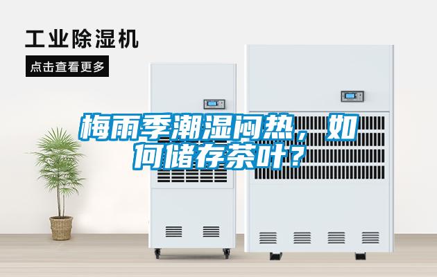 梅雨季潮湿闷热，如何储存茶叶？
