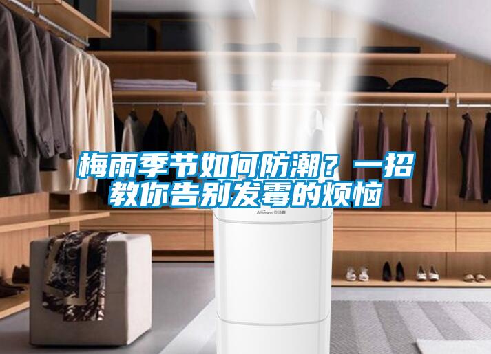 梅雨季节如何防潮？一招教你告别发霉的烦恼