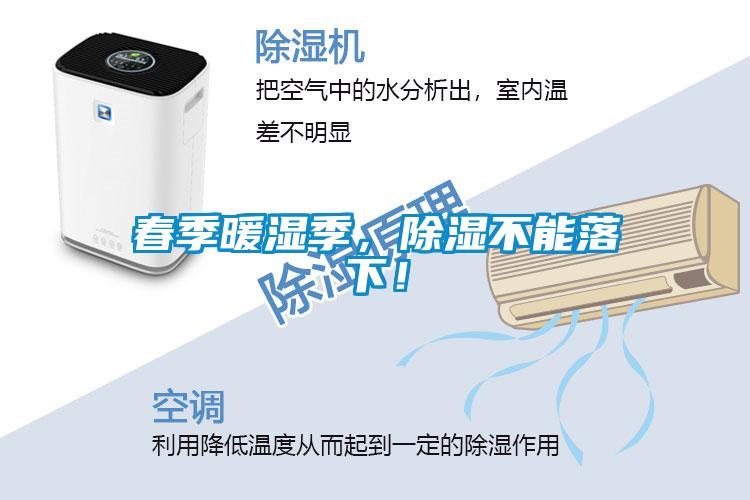 春季暖湿季，香蕉福利视频不能落下！