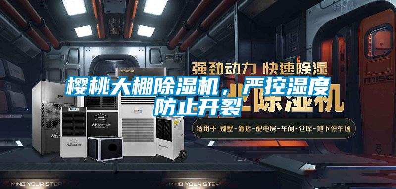 樱桃大棚香蕉福利视频机，严控湿度防止开裂