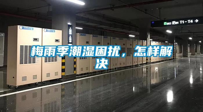 梅雨季潮湿困扰，怎样解决