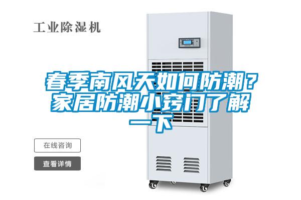 春季南风天如何防潮？家居防潮小窍门了解一下