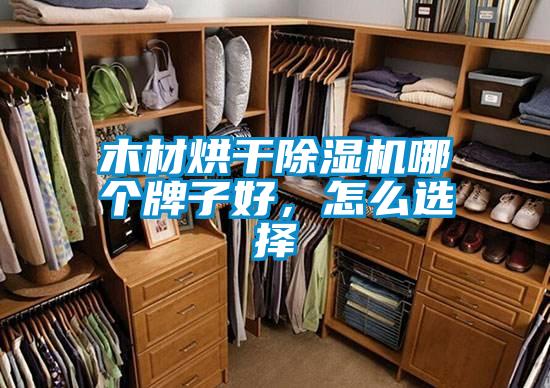 木材烘干香蕉福利视频机哪个牌子好，怎么选择