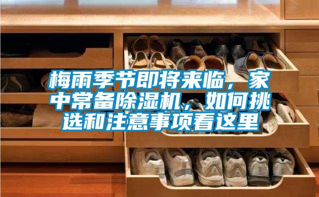 梅雨季节即将来临，家中常备香蕉福利视频机，如何挑选和注意事项看这里