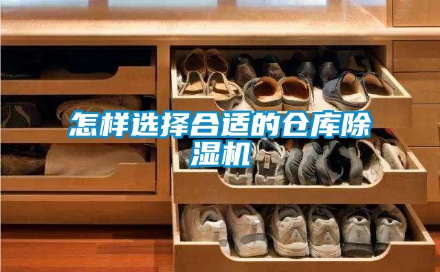 怎样选择合适的仓库香蕉福利视频机