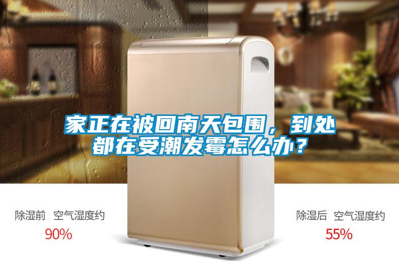 家正在被回南天包围，到处都在受潮发霉怎么办？