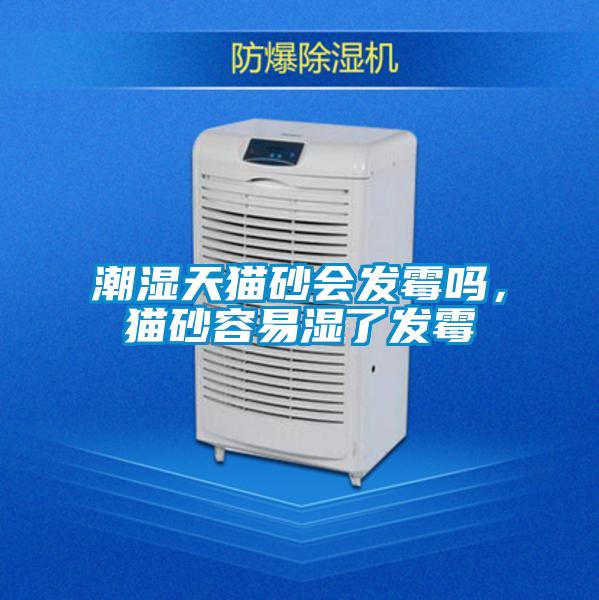 潮湿天猫砂会发霉吗，猫砂容易湿了发霉