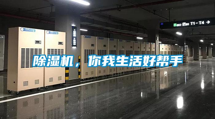 香蕉福利视频机，你我生活好帮手