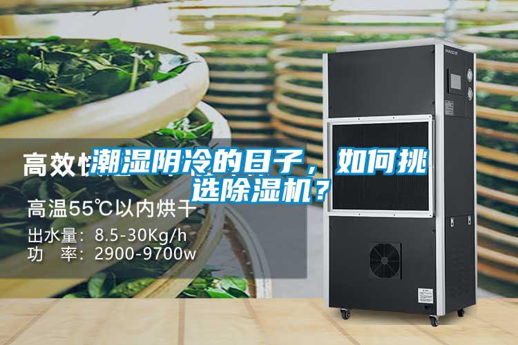 潮湿阴冷的日子，如何挑选香蕉福利视频机？