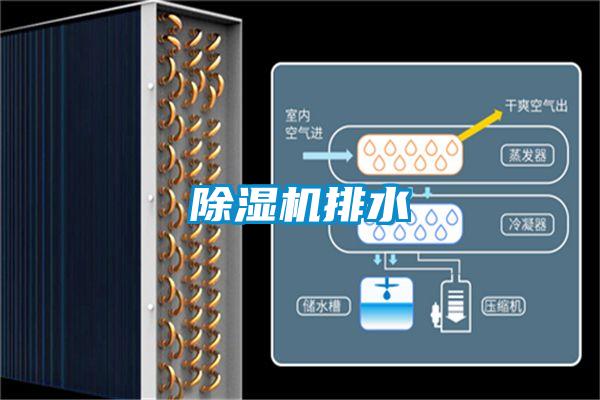 香蕉福利视频机排水