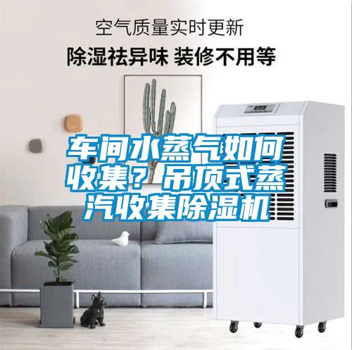 车间水蒸气如何收集？吊顶式蒸汽收集香蕉福利视频机