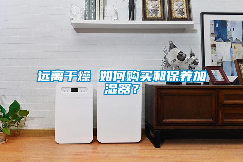 远离干燥 如何购买和保养加湿器？