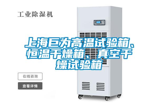 上海巨为高温试验箱、恒温干燥箱、真空干燥试验箱