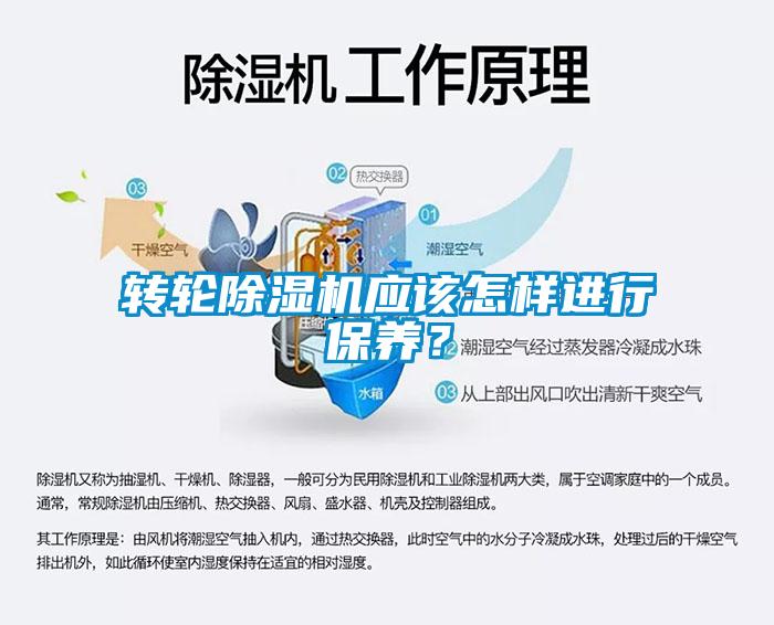 转轮香蕉福利视频机应该怎样进行保养？