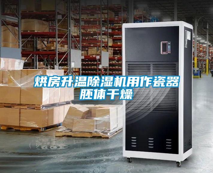 烘房升温香蕉福利视频机用作瓷器胚体干燥