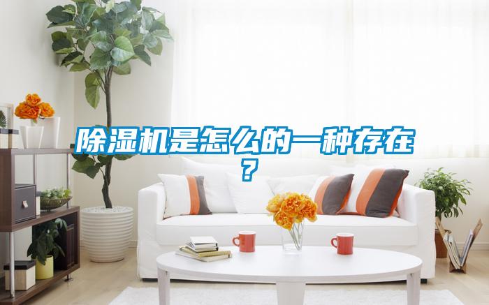 香蕉福利视频机是怎么的一种存在？