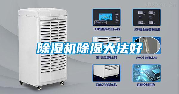 香蕉福利视频机香蕉福利视频大法好