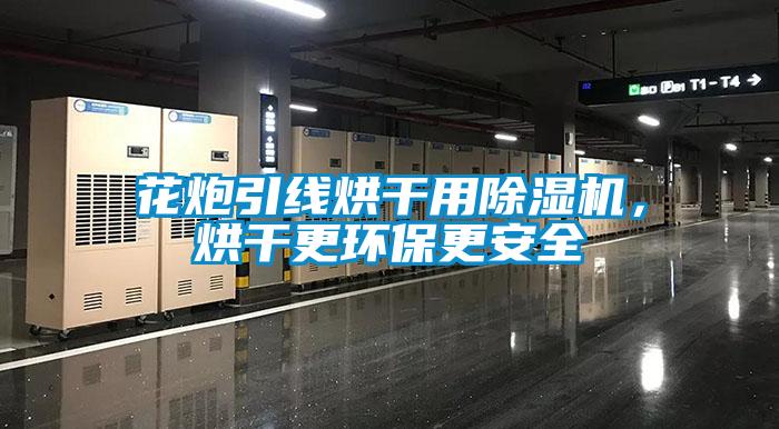 花炮引线烘干用香蕉福利视频机，烘干更环保更安全