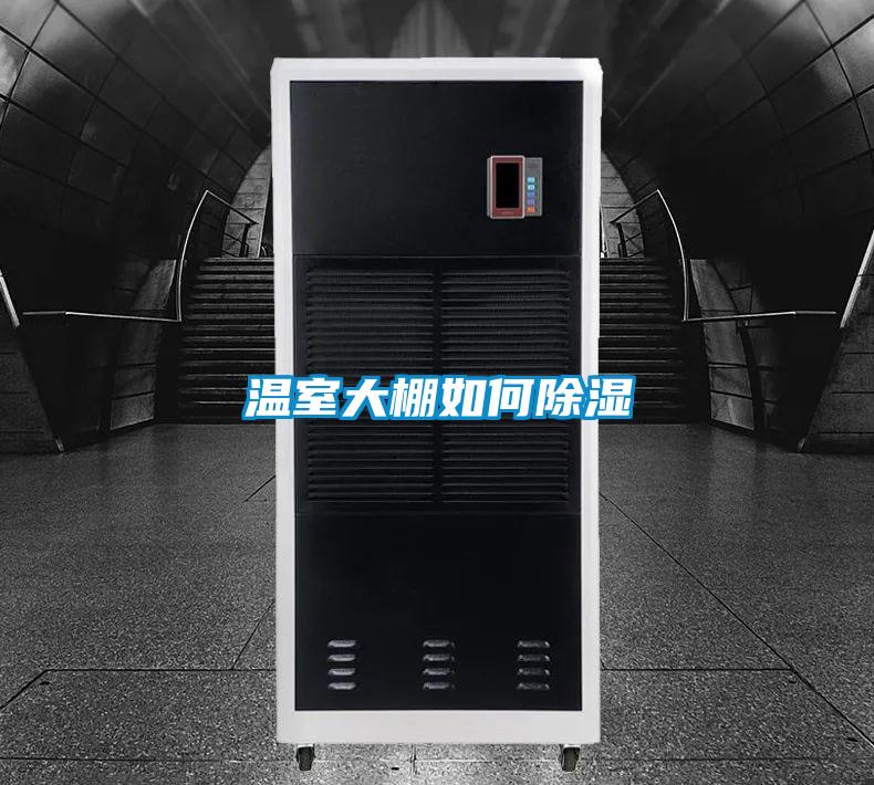 温室大棚如何香蕉福利视频