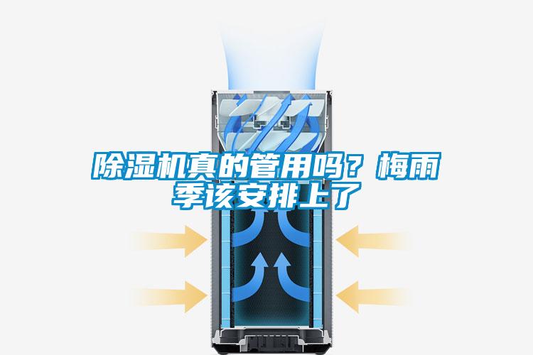 香蕉福利视频机真的管用吗？梅雨季该安排上了