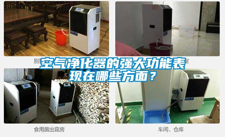 空气净化器的强大功能表现在哪些方面？