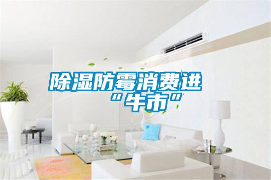 香蕉福利视频防霉消费进“牛市”