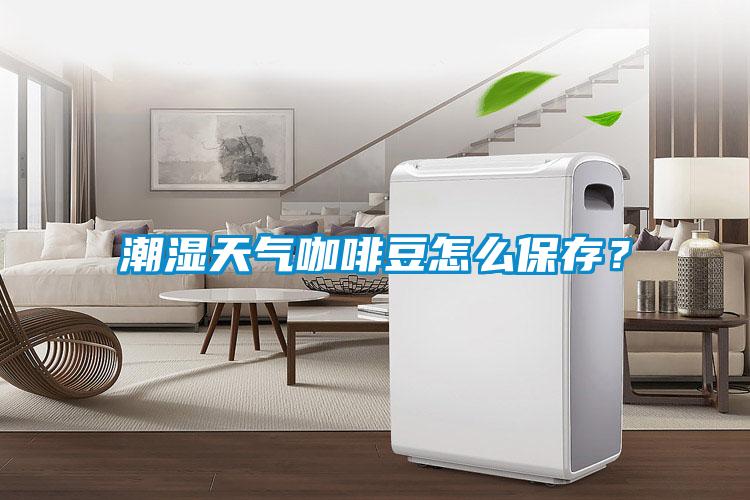 潮湿天气咖啡豆怎么保存？