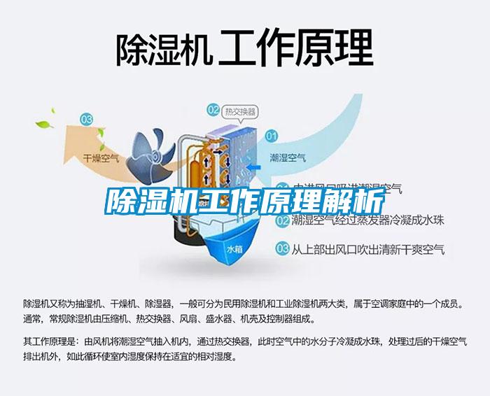 香蕉福利视频机工作原理解析