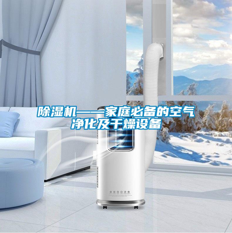 香蕉福利视频机——家庭必备的空气净化及干燥设备