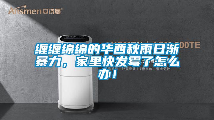 缠缠绵绵的华西秋雨日渐暴力，家里快发霉了怎么办！