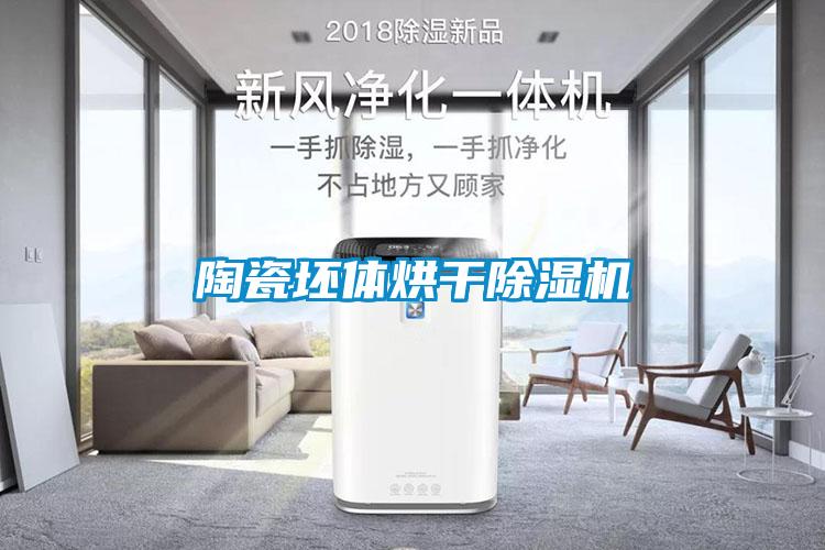 陶瓷坯体烘干香蕉福利视频机