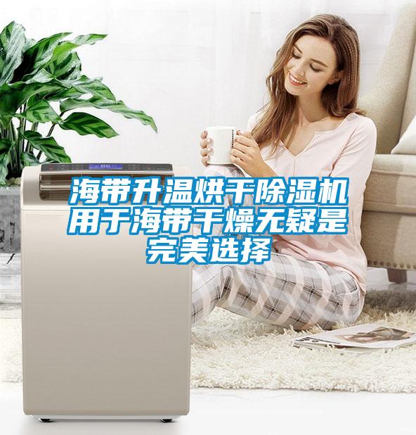 海带升温烘干香蕉福利视频机用于海带干燥无疑是完美选择