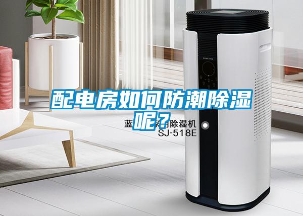 配电房如何防潮香蕉福利视频呢？