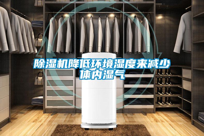 香蕉福利视频机降低环境湿度来减少体内湿气