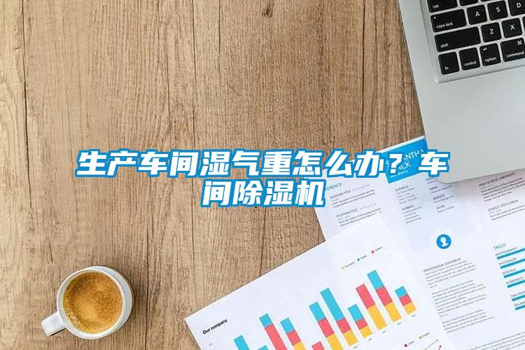 生产车间湿气重怎么办？车间香蕉福利视频机