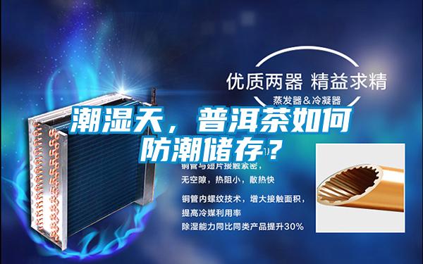 潮湿天，普洱茶如何防潮储存？