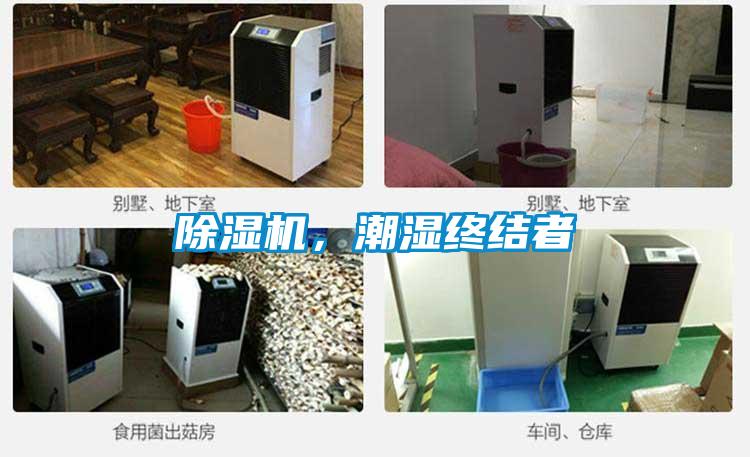 香蕉福利视频机，潮湿终结者