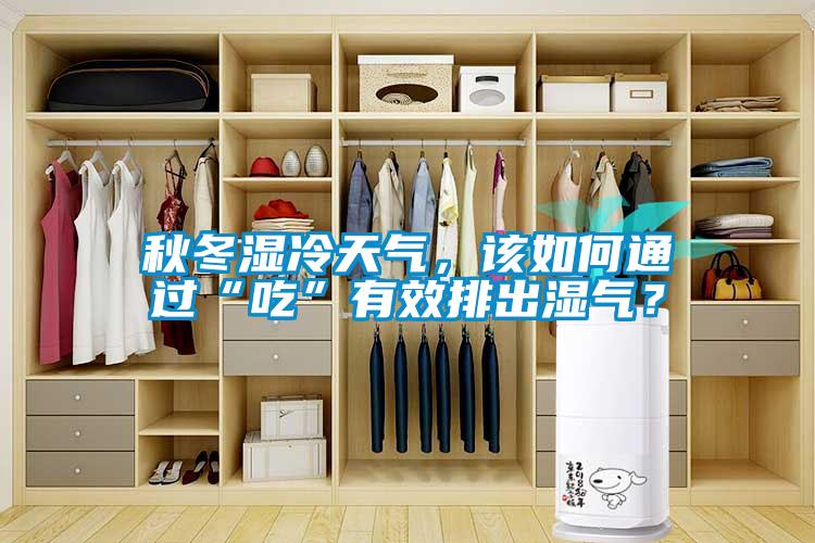 秋冬湿冷天气，该如何通过“吃”有效排出湿气？